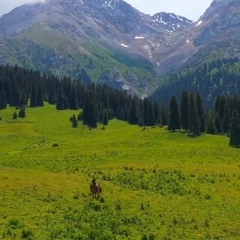 Жанна Горанова, Алматы