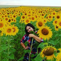 Марья Матусевич, Шебалино