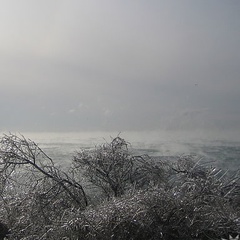 Сергей Шевцов, Краснодар