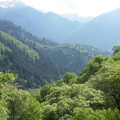 Галя Сапкулова