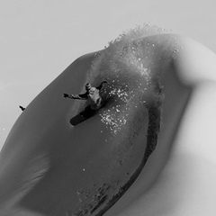 Yury Makarevich