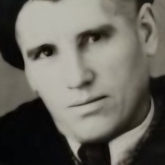 Василий Гордиенко