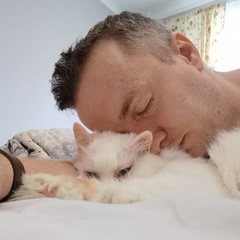 Марк Андронов, 37 лет, Москва