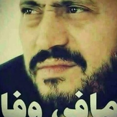 محمد محمد, Sanaa