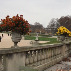 Этери Плиева, Paris