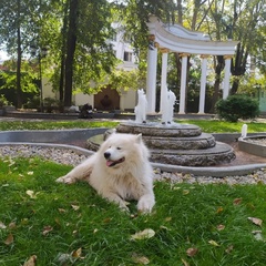 Владимир Гурин, Москва