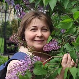 Лариса Максименко, 56 лет, Раменское