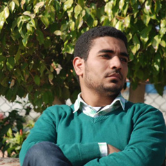 Mohamed Yosri, 30 лет, Giza