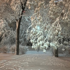 Амина Бердиева, Черкесск