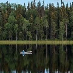 Дмитрий Литвинов, Москва