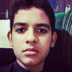 Camilo De Almeida Silva, 28 лет, Belo Horizonte