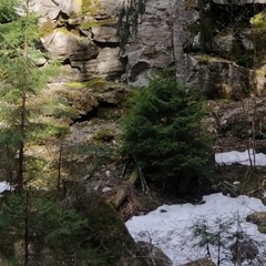 Мария Андреевна, Санкт-Петербург