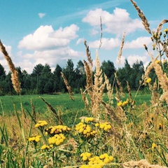 Иван Лавник, Ставрополь