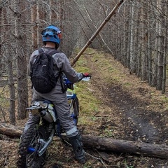 Родион Васильев, Красноярск