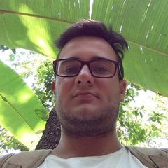 Дмитрий Неганов, 38 лет, Санкт-Петербург