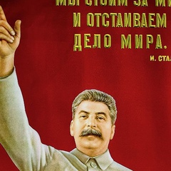 Роман Оргин, Ростов-на-Дону