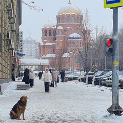 Илья Со, Волгоград