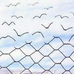 Анастасия Летописцева