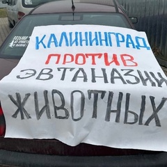 Марина Овсянникова, 39 лет, Калининград