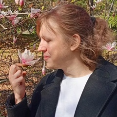 Александр Розонов, Санкт-Петербург