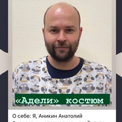 Анатолий Аникин, Санкт-Петербург