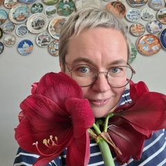 Надежда Фомина, 48 лет, Петрозаводск