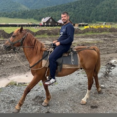 Павел Цибульников, 40 лет, Новосибирск