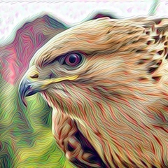Аза Темиров
