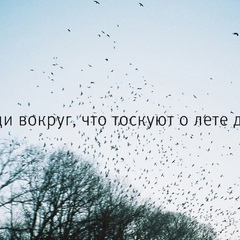 Антон Платонов, Грозный