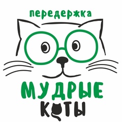 Мудрые Коты, Рязань