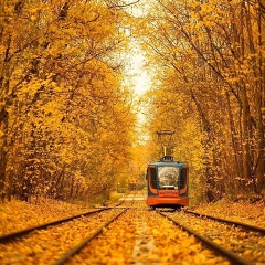 Лешка Трифонов, Москва