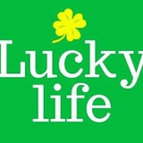 Lucky Life, Алматы