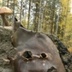 Денис Поспелов, 42 года
