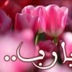 Amani Abd, 33 года, Sidi Bouzid