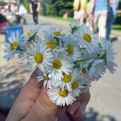 Seniorita Begali, Москва