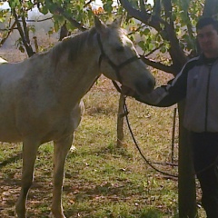 Bekzat Esehkylov