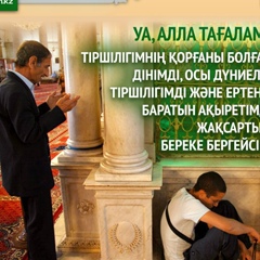 Adil Mudarisov, Шымкент