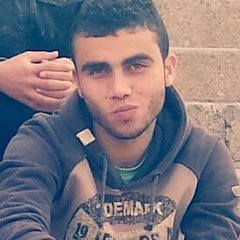 Muhammed Hamed, 31 год