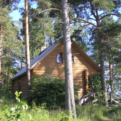 Александр Климов, Санкт-Петербург