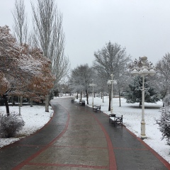 Сарыкулов Ровшан, Ашхабад