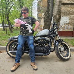 Олежка Адамович, 38 лет, Москва