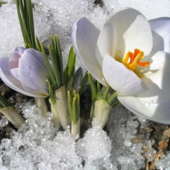 Роза Нургалиева, Нижнекамск