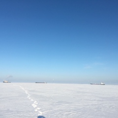 Руслан Кулакаев, Санкт-Петербург