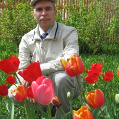 Александр Домнин, 54 года, Суна