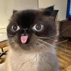 Евг Ений