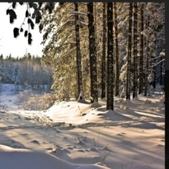 Лёша Лев, 38 лет