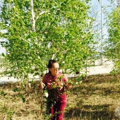 Алена Гардичюк, 30 лет, Якутск