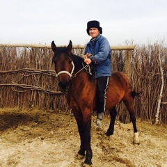 Mukhtar Berdaliev, 35 лет, Шымкент