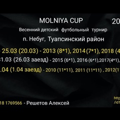 Molniya Cup-Tournament, 41 год, Небуг