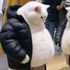 Сергей Ананьин, 41 год, Санкт-Петербург